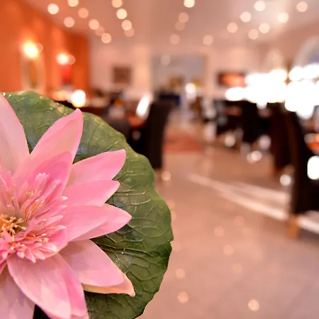 ホテル Alpha Garni 2*