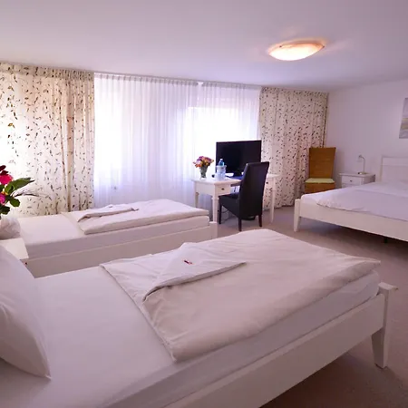 ホテル Alpha Garni