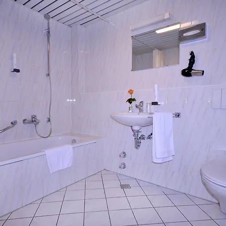 ホテル Alpha Garni ディーツェンバハ